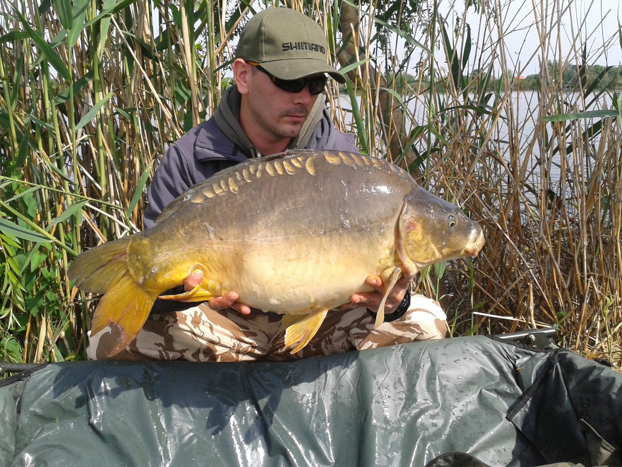 15-17.05.2015 - 20150516094720.jpg